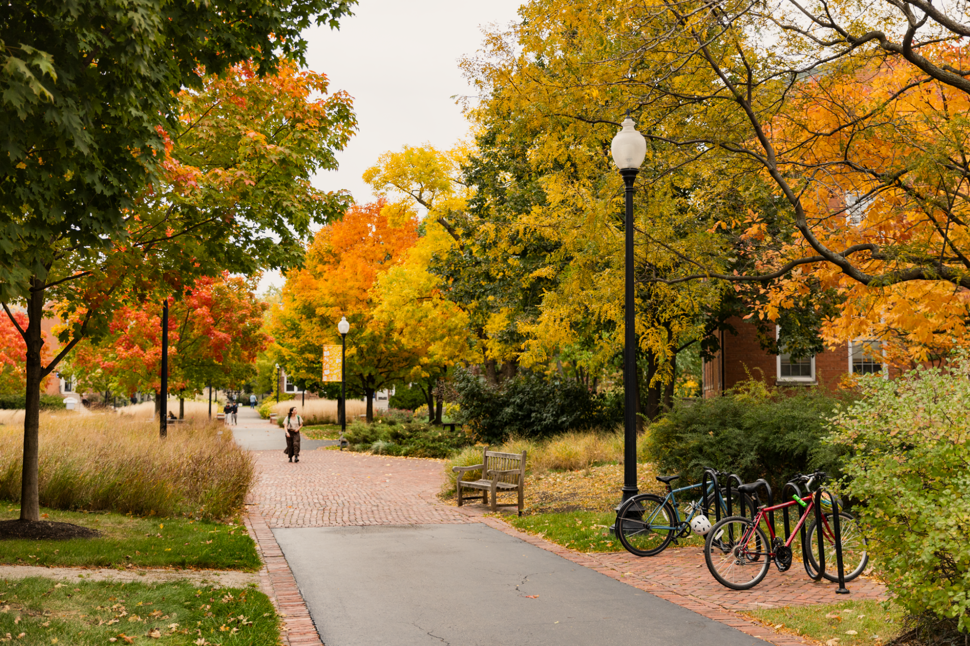 bricked path through campus in the Fall