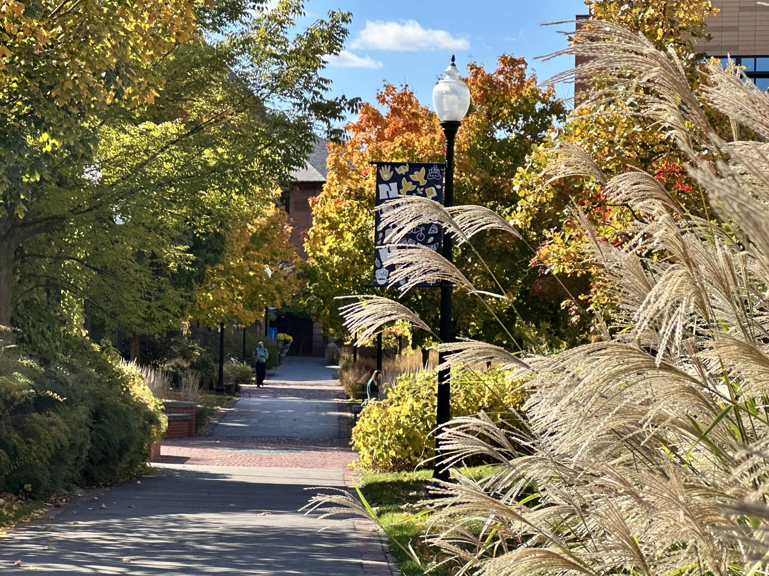 bricked pathway on Fall campus day with colored leaves visible